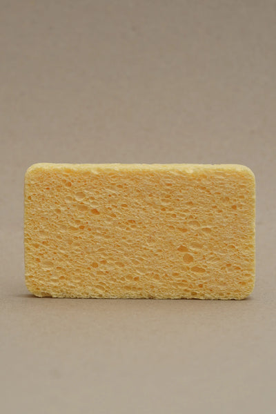 CELLULOSE SPONGE