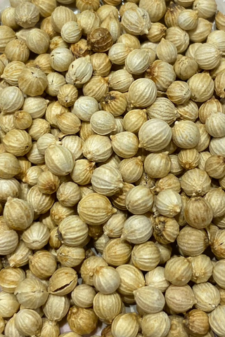 CORIANDER SEEDS (BALI)