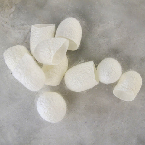 EXFOLIATING SILK COCOONS