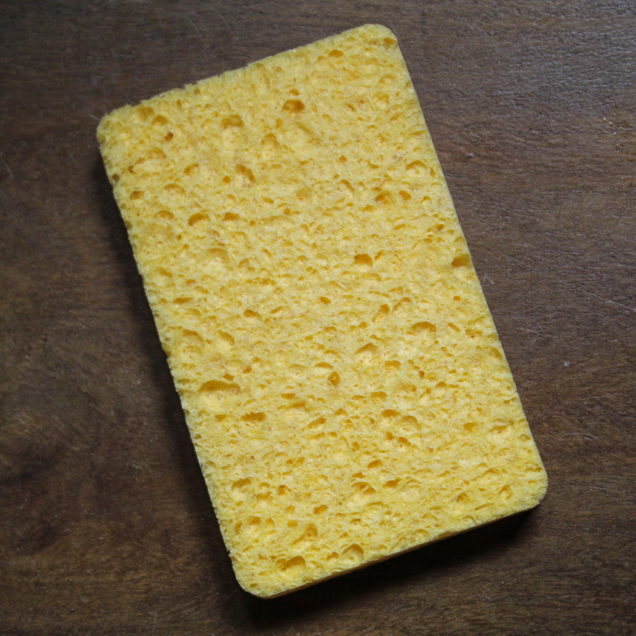 CELLULOSE SPONGE